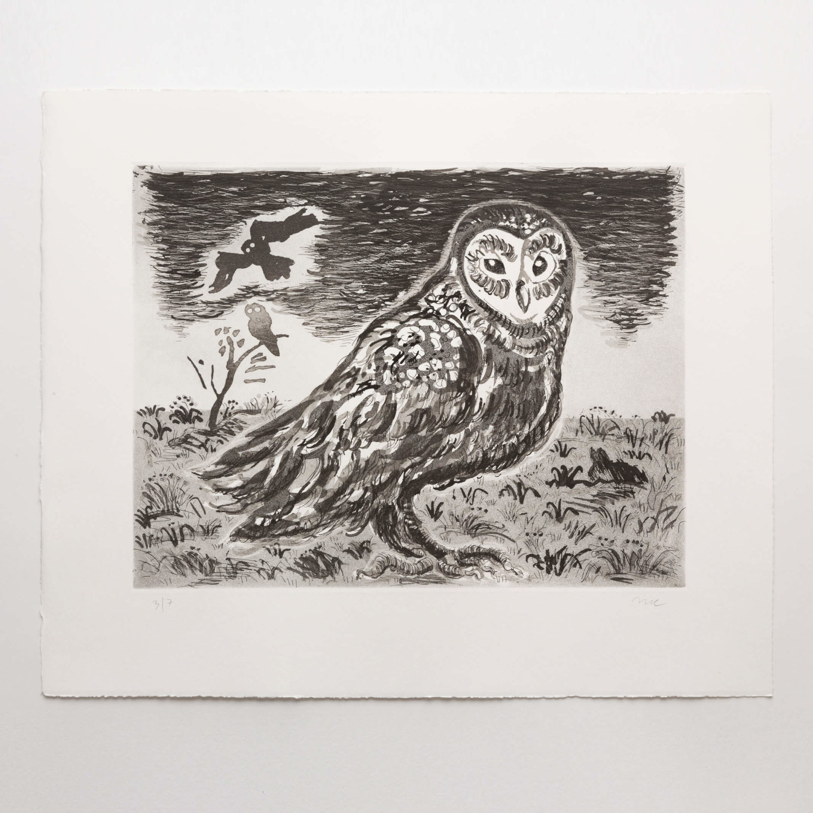 Bird (aquatint)