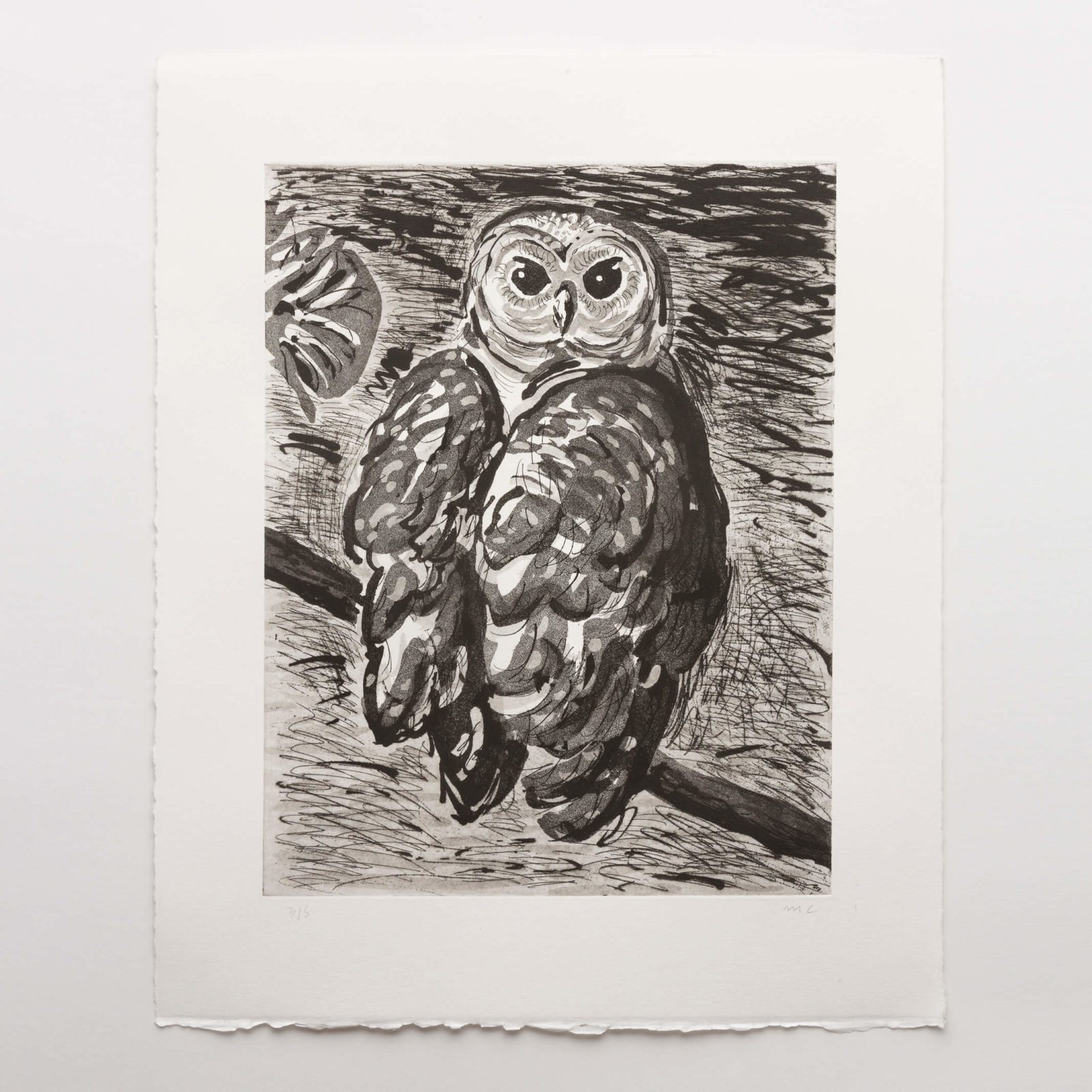 Owl (aquatint)