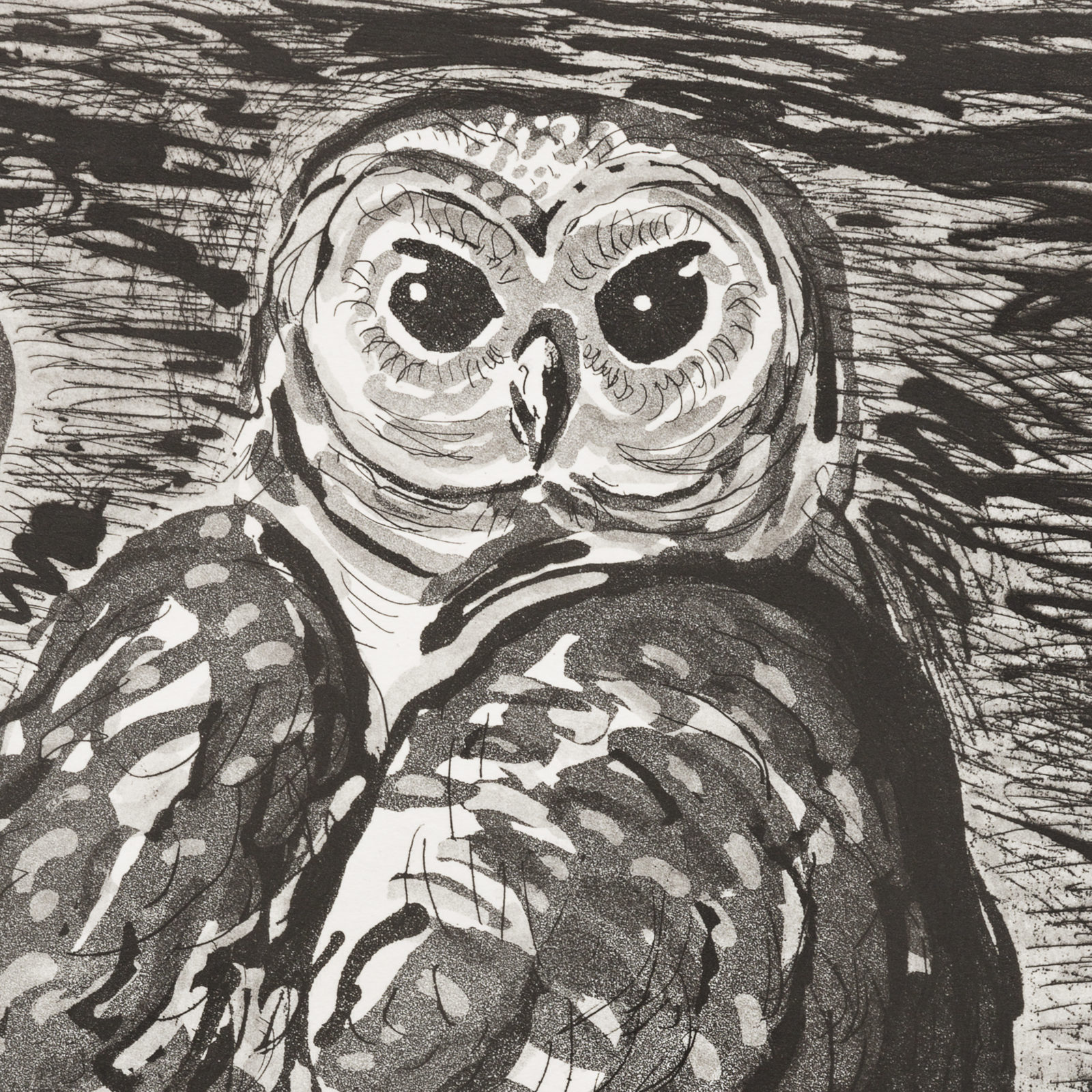 Picasso/Picault, Picault/Picasso hover