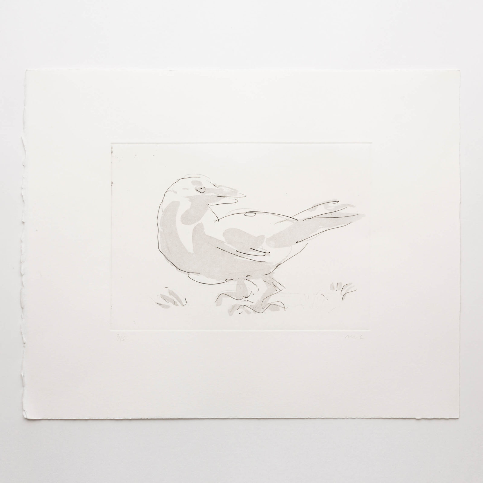 Bird (aquatint)