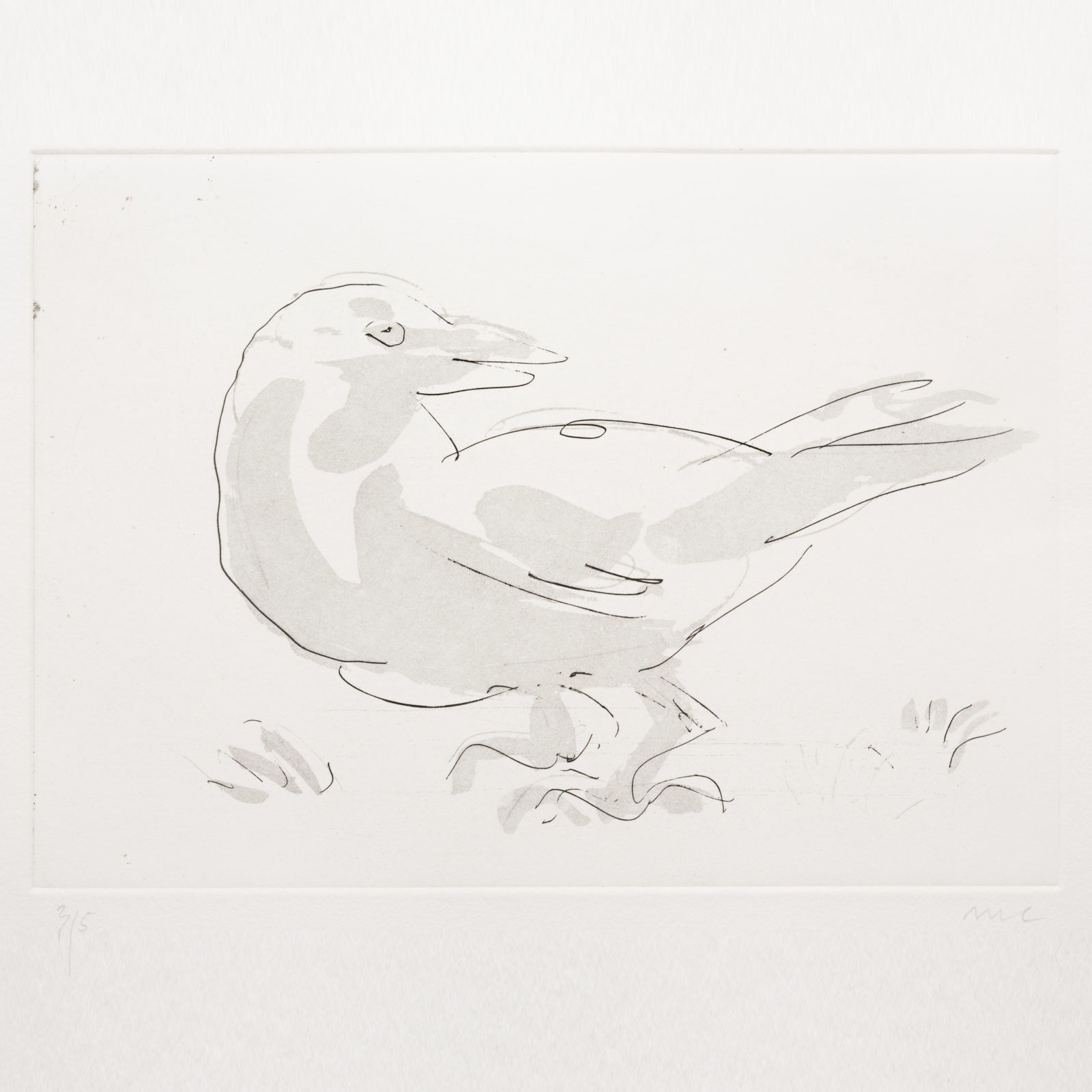 Bird (aquatint)