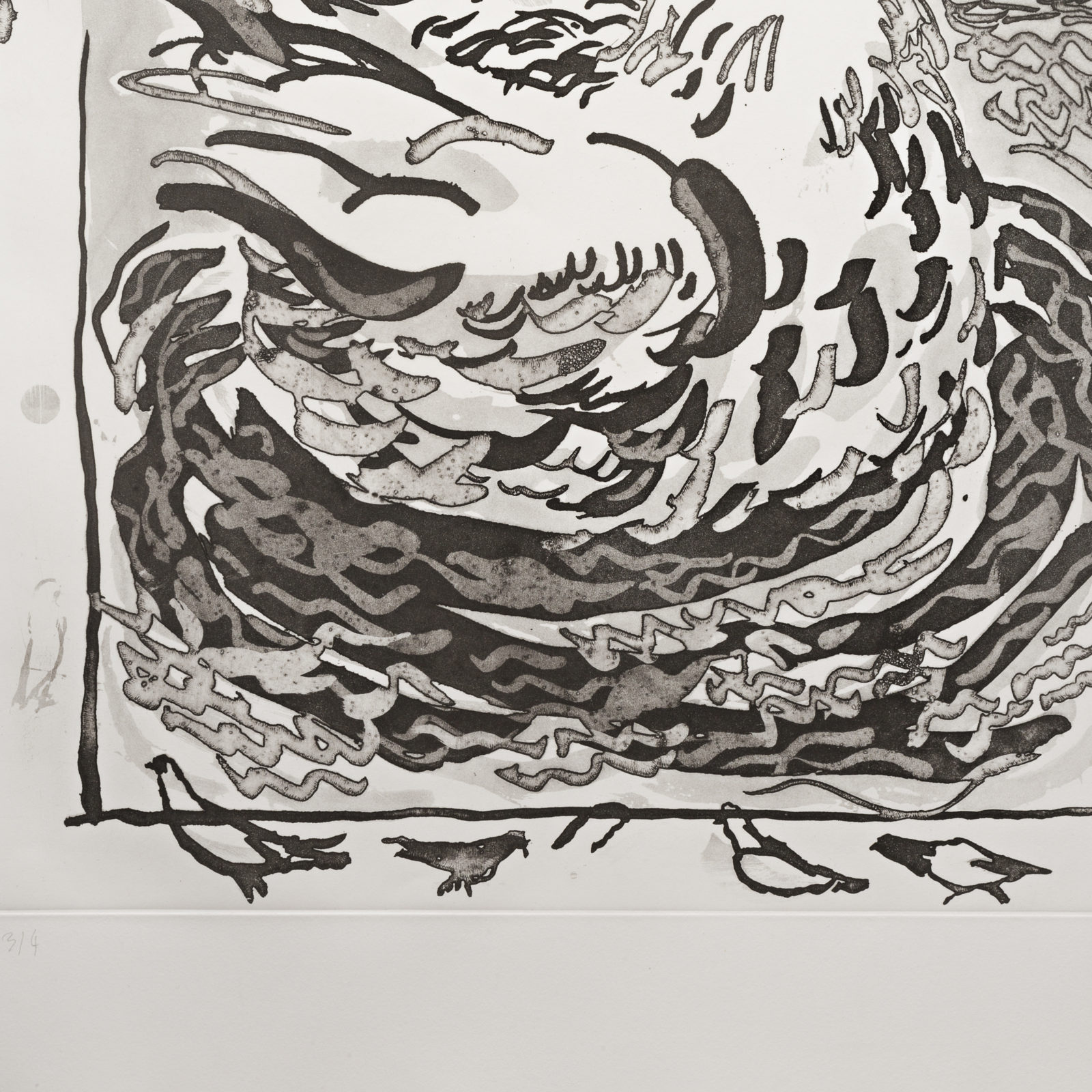 Pigeon (aquatint)