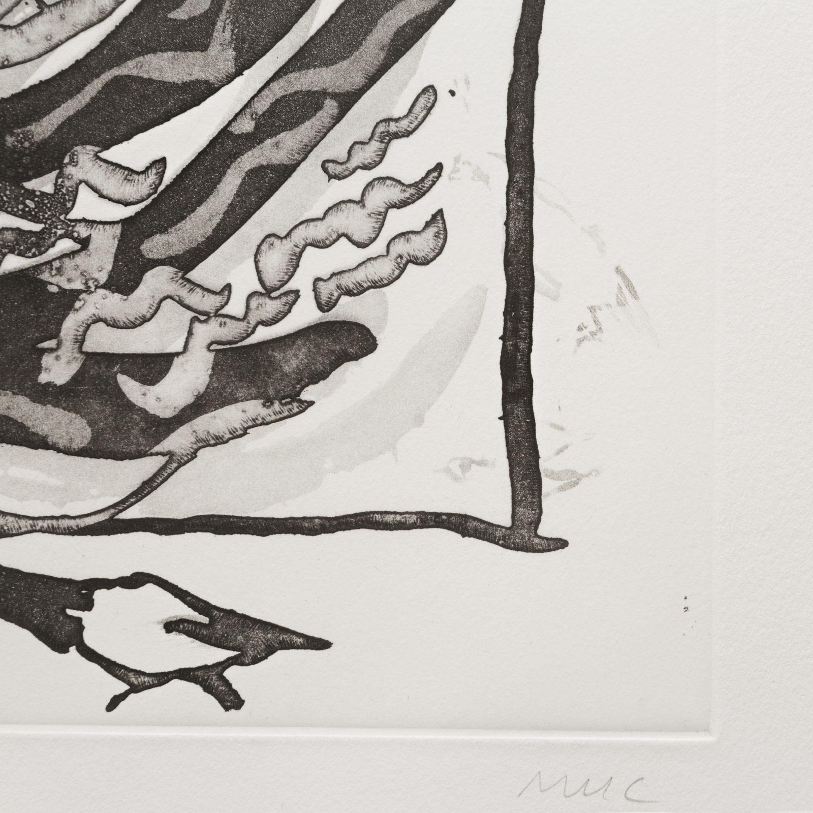 Pigeon (aquatint)