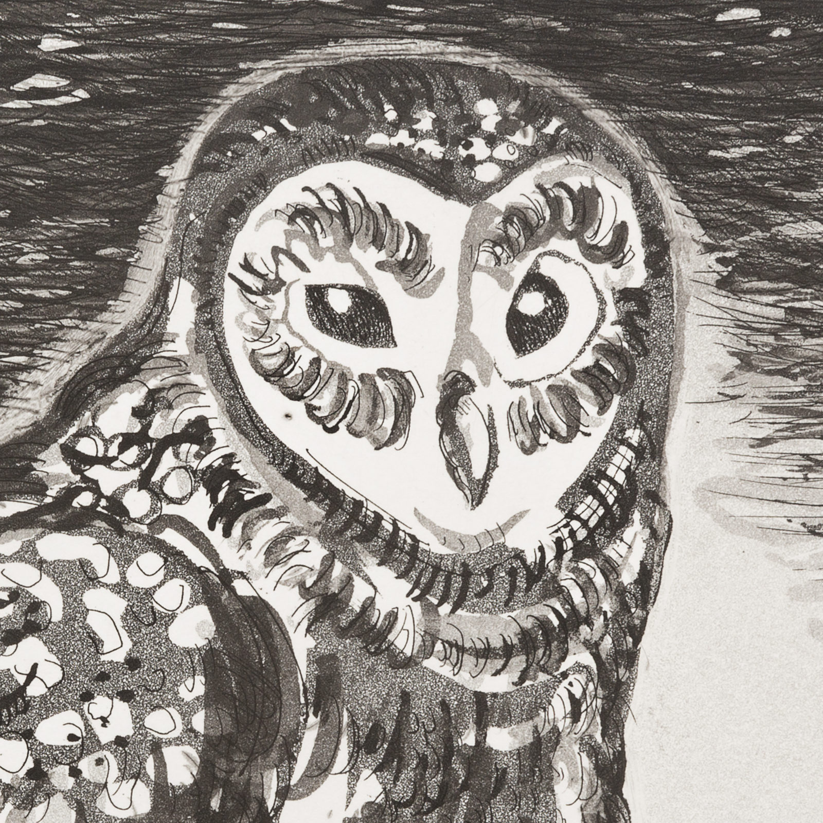 Barn Owl (aquatint)