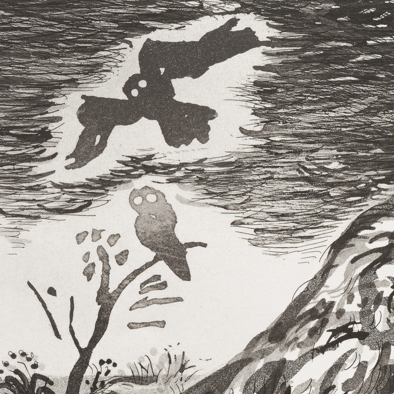 Bird (aquatint) hover