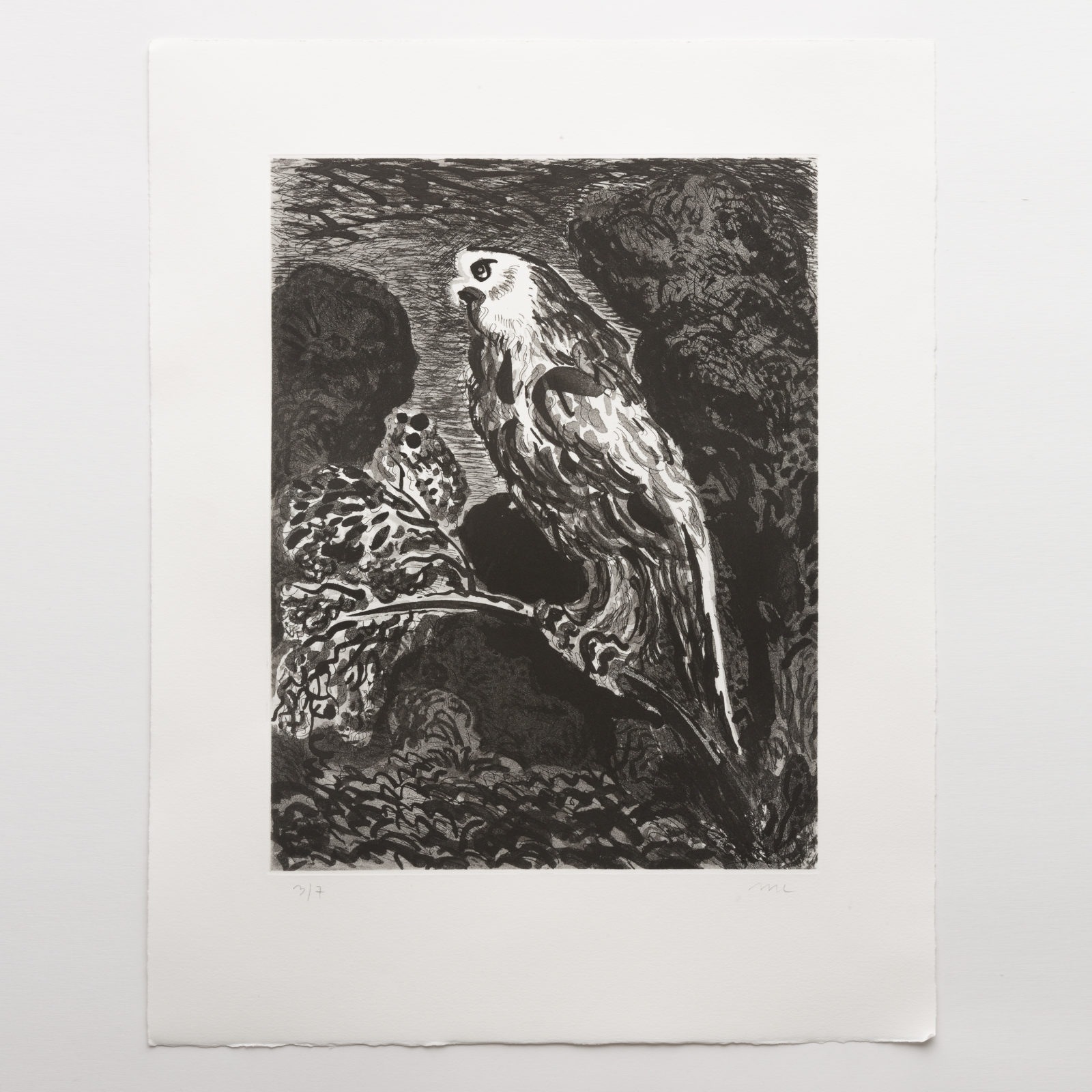 Bird (aquatint)