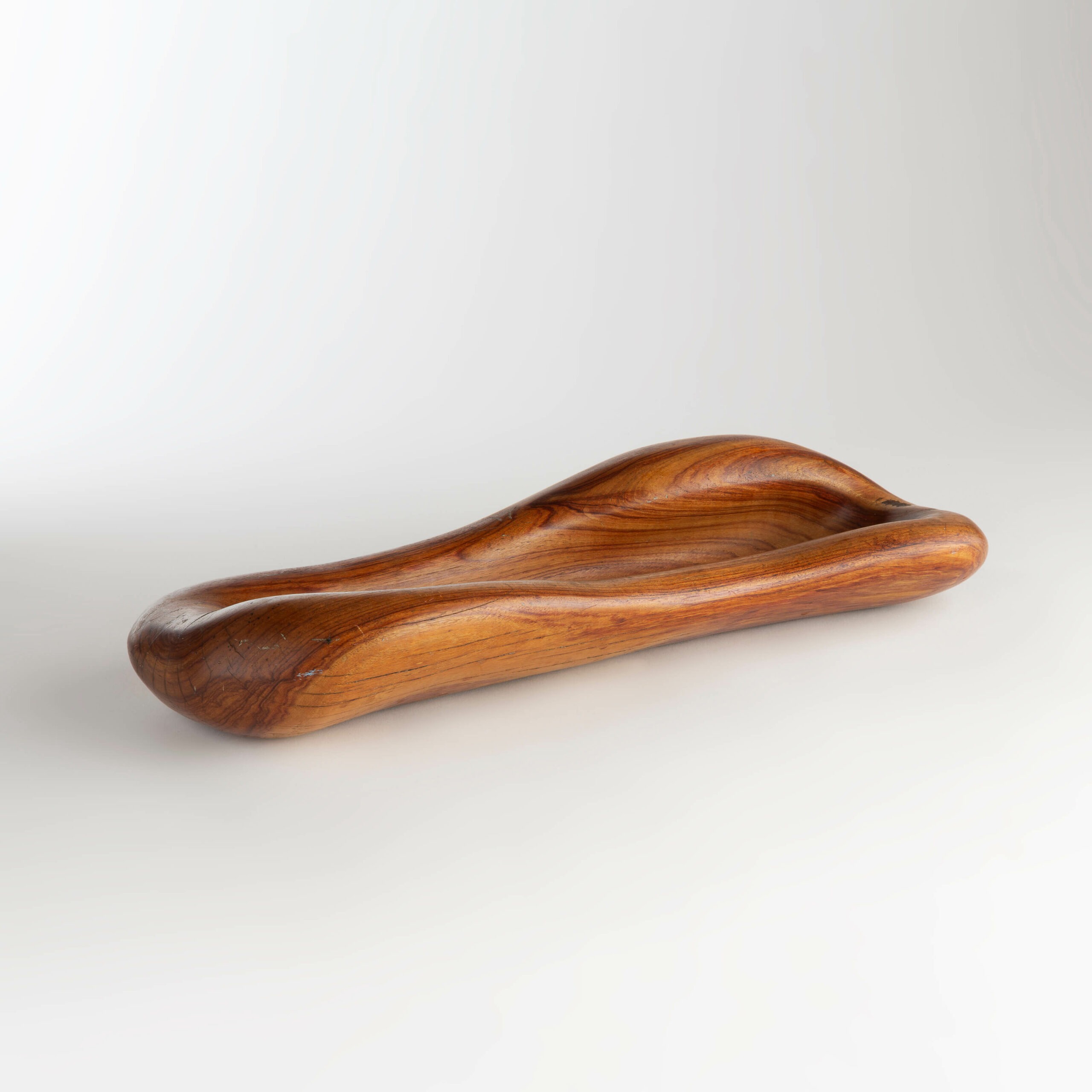Monoxyle Dish
