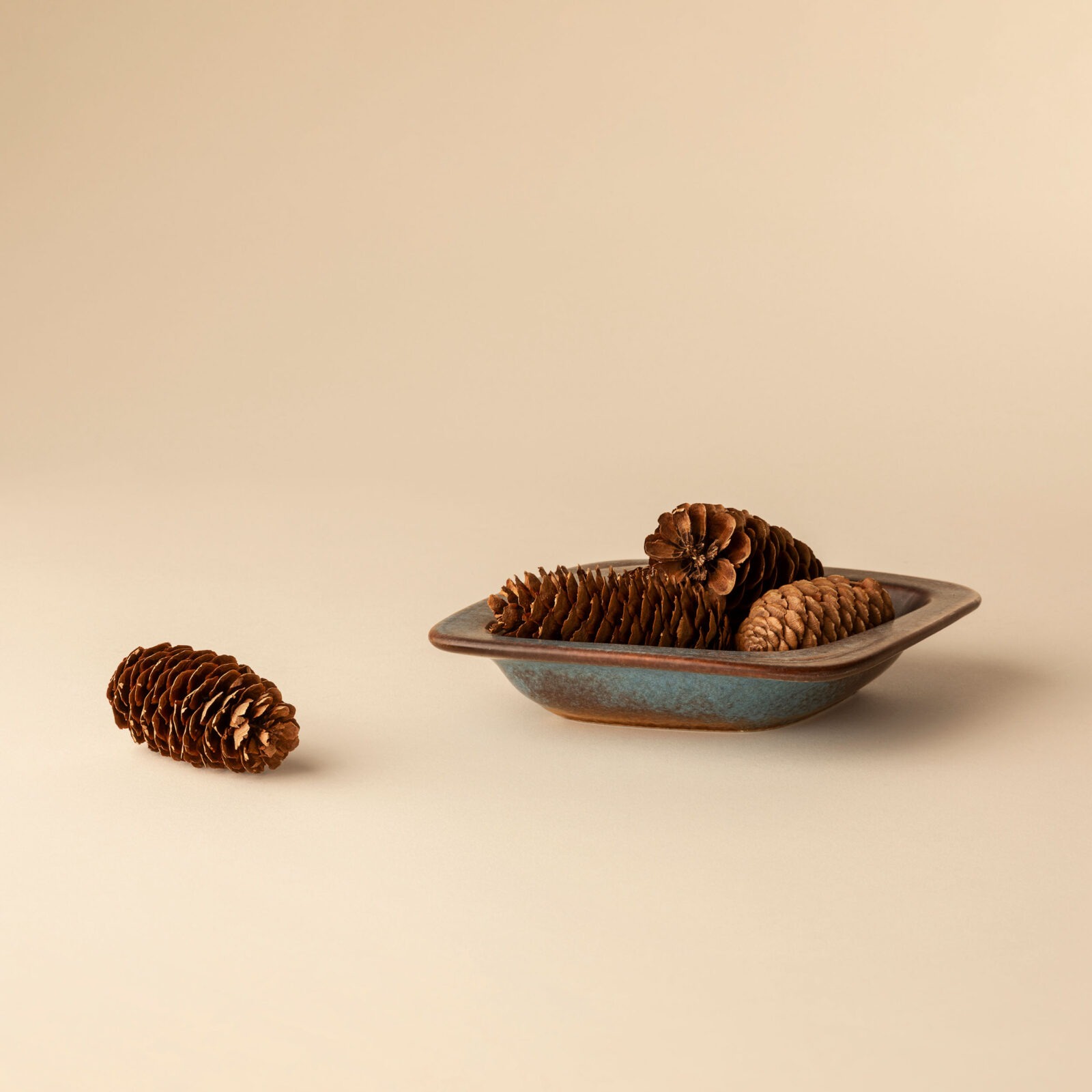 Ceramic catchall tray